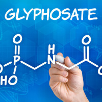 Glifosat - poziomu herbicydu w moczu