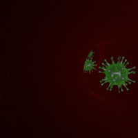 Anty HBC IgM (replikacja wirusa)