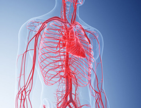 Doppler jamy brzusznej (aorty i tętnic trzewnych)