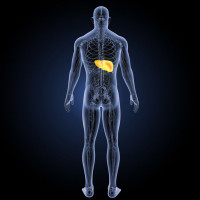 Doppler układu wrotnego