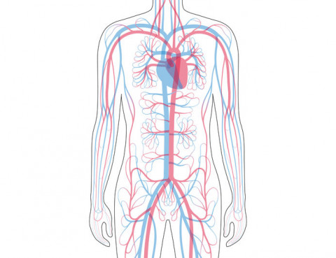 Doppler żył/tętnic wlotu klatki piersiowej