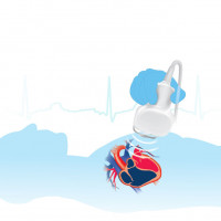 Echo serca (USG) dla dorosłych