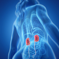 Pakiet nefrologiczny - przed 1 wizytą