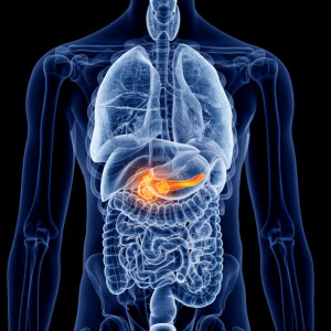 pakiet-trzustkowy-2-etermed Pakiet trzustkowy