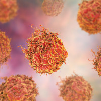 Podstawowy pakiet markery nowotworowe - męskie narządy płciowe