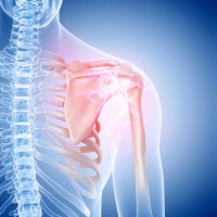 RTG barku (AP + osiowe)