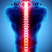 RTG kręgosłupa L/S + stawy krzyżowo biodrowe