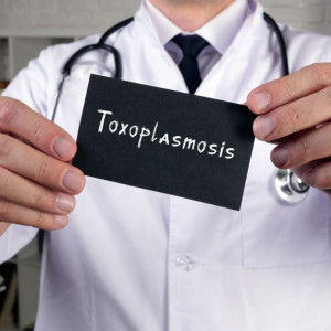 toksoplazma-igm-badanie-laboratoryjne-2-etermed Toksoplazmoza IgM - badanie laboratoryjne