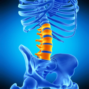 tomografia-komputerowa-l1-s1-odcinka-lędzwiowego-kręgosłupa-bez-kontrastu-z-rekonstrukcjami-etermed Tomografia (L1-S1) kręgosłupa odcinka lędźwiowego bez kontrastu z rekonstrukcjami